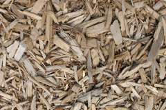 biomass boilers Padside